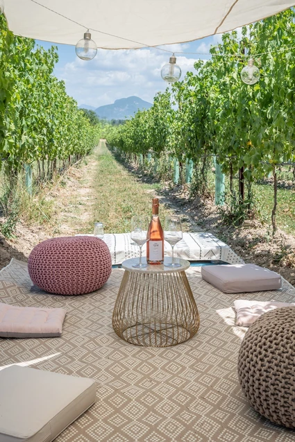 Picnic d'Autore in vigneto: l'Essenza del Lago di Garda a Lazise 0